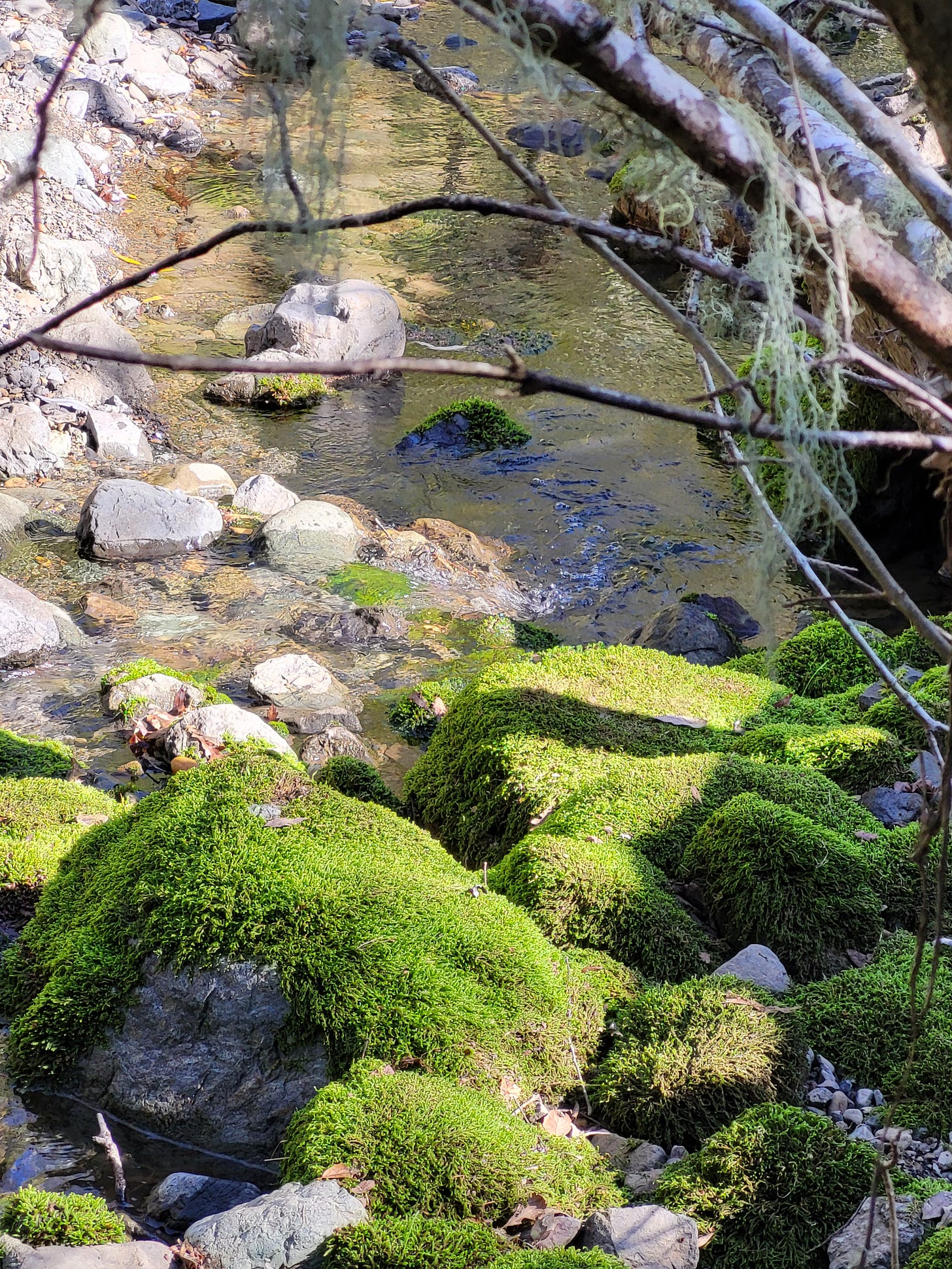 Cuando Dios Camina de Nuevo