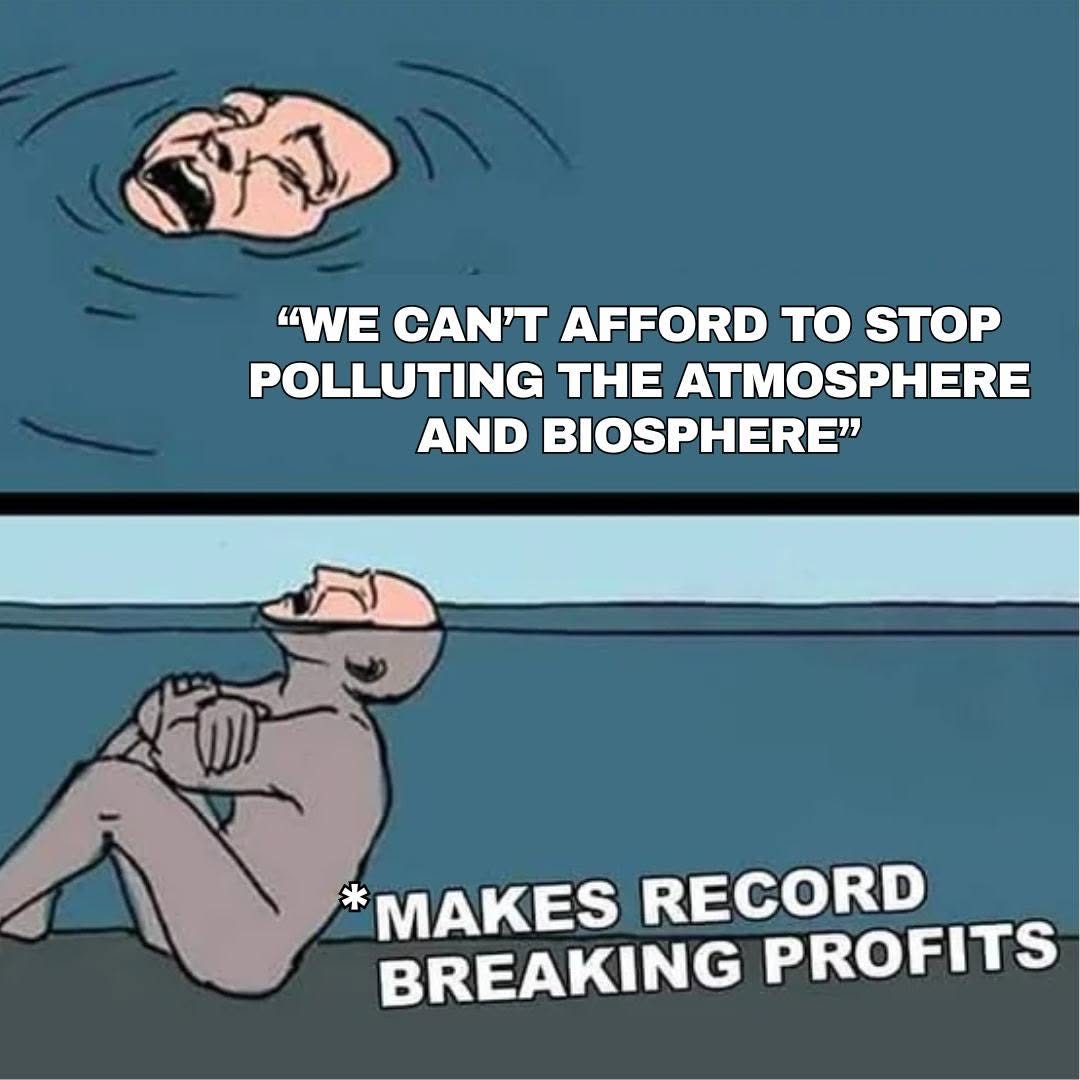 Two-panel cartoon. A face shouting from the water: "We can't afford to stop polluting the atmosphere and biosphere". Below, a figure sitting calmly underwater: "*makes record breaking profits".