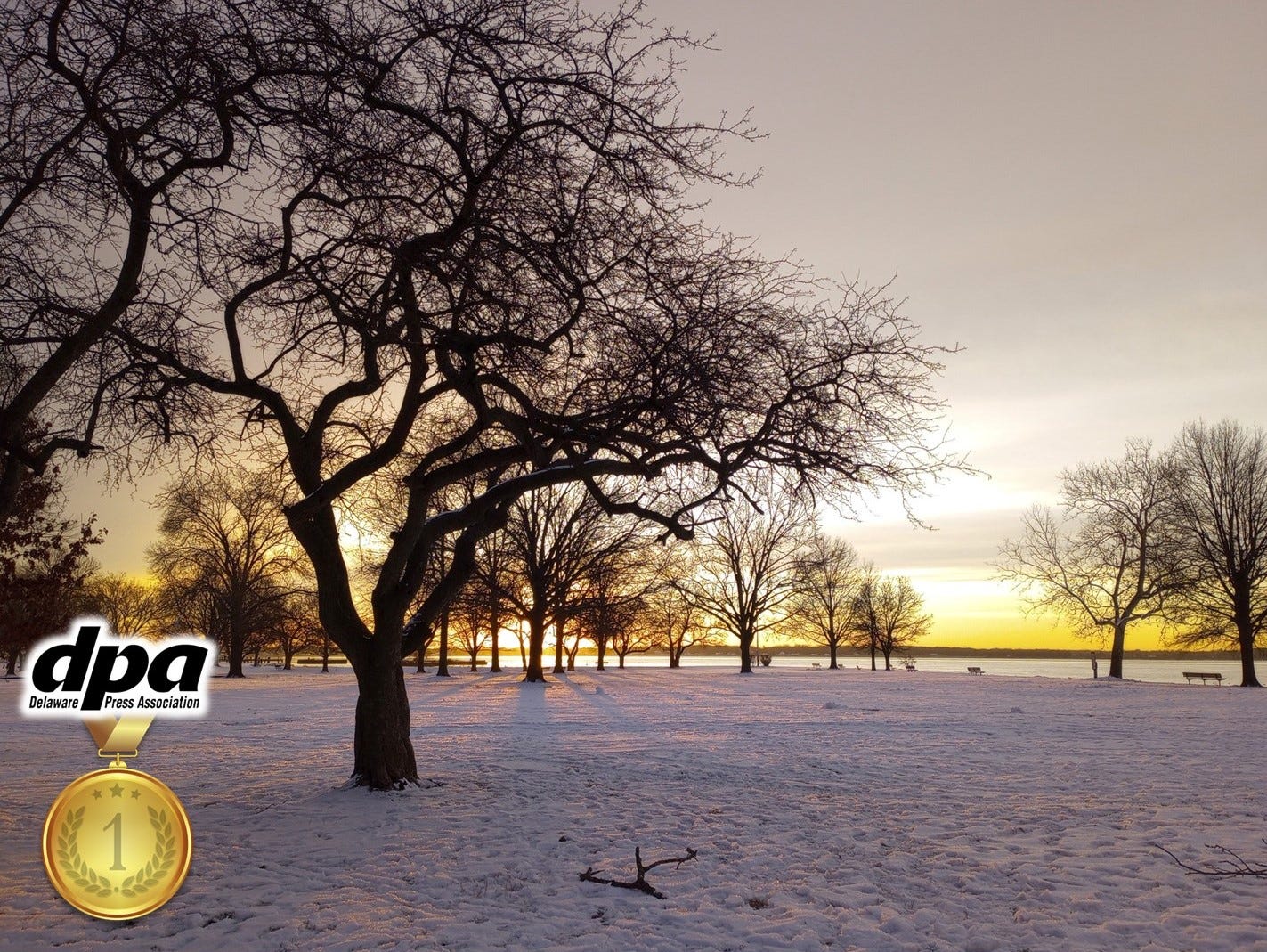 May be an image of twilight, nature, tree and text that says 'dpa DelawarePressAssociation Delaware Press Association 1'