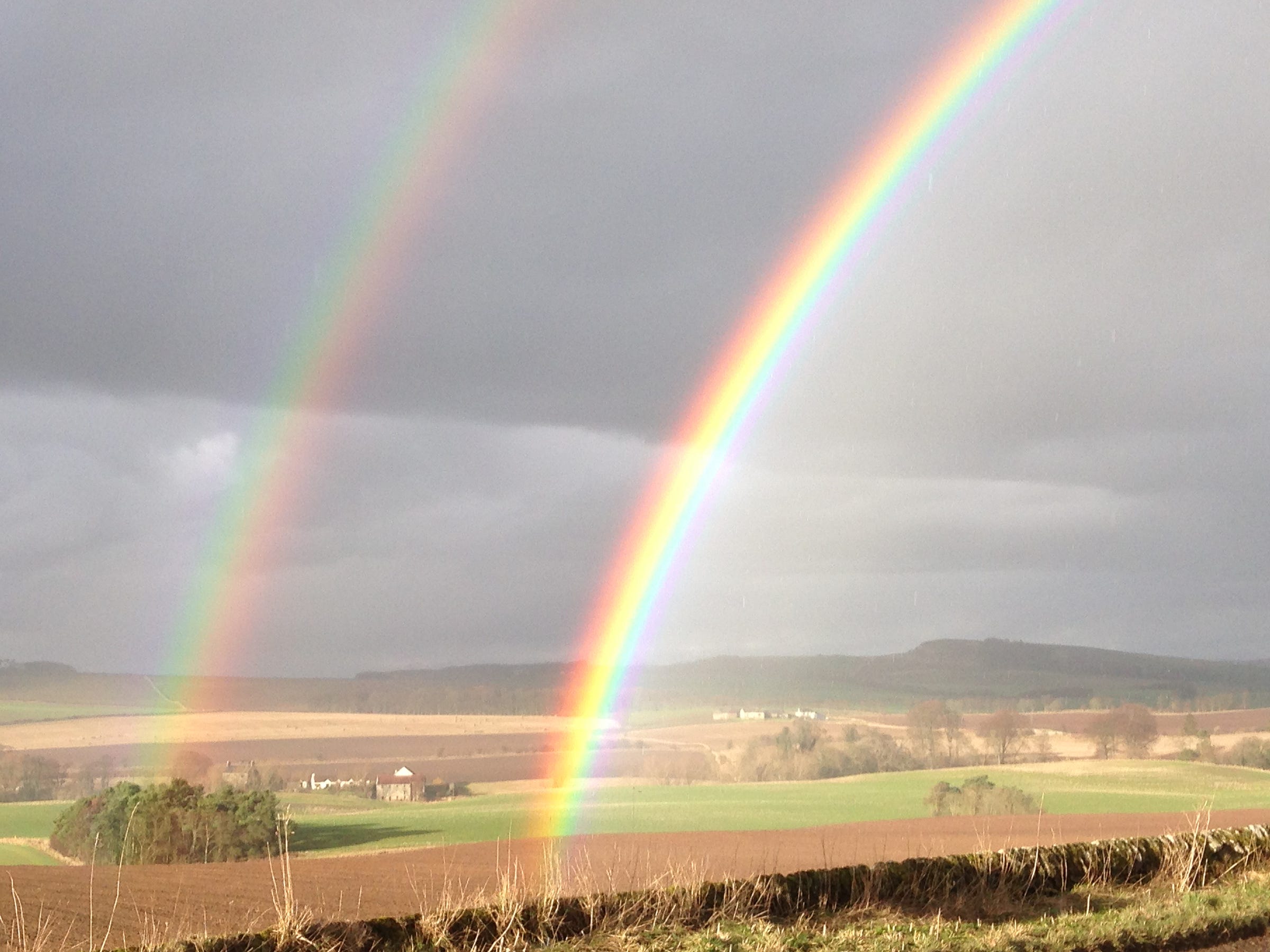 double rainbow