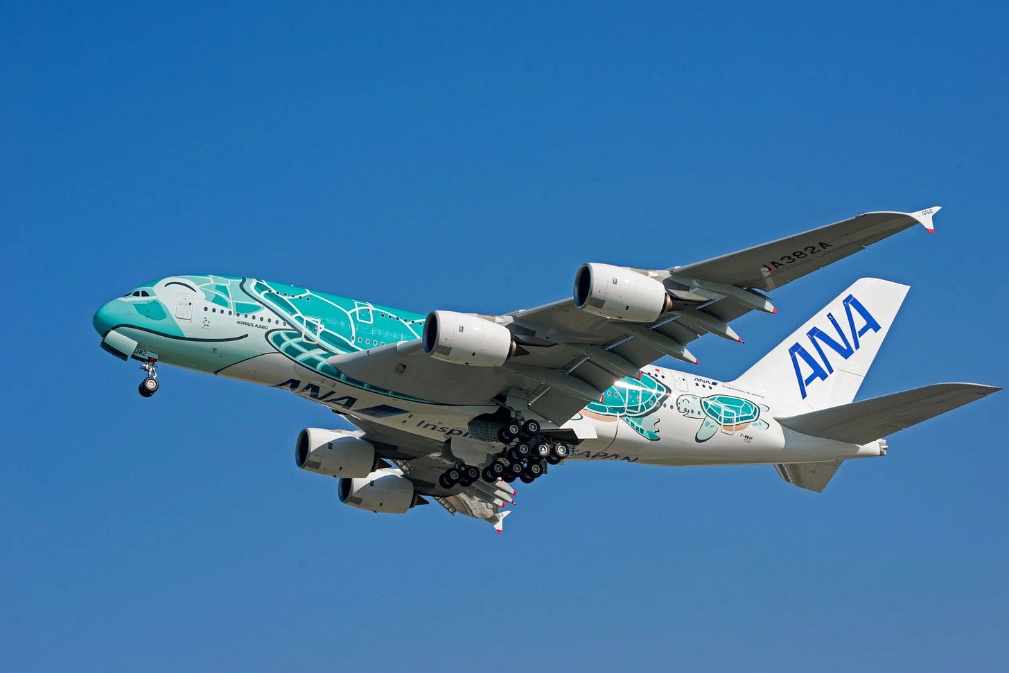 ANA Airbus A380 Flying Honu livery