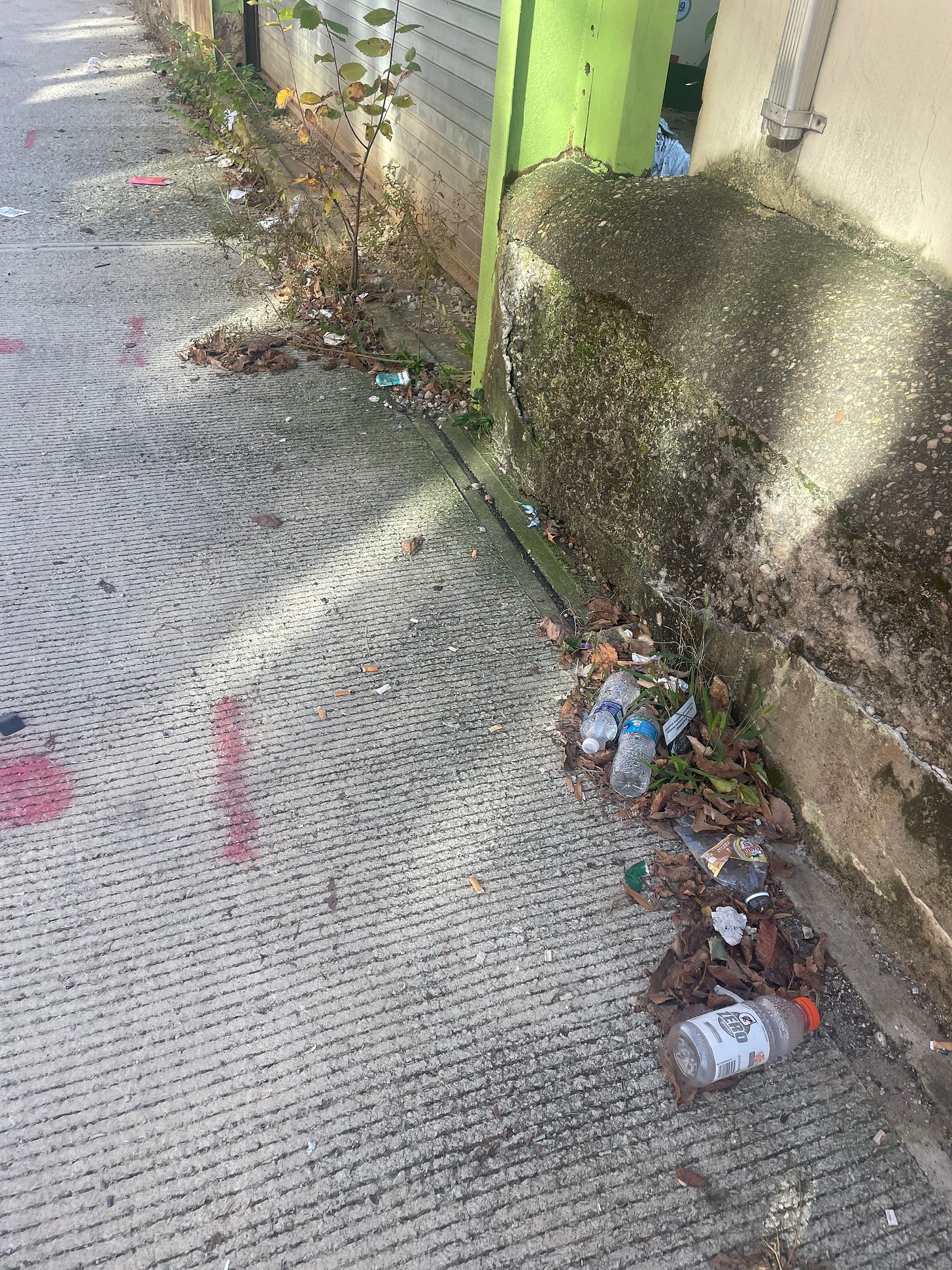 General debris and a little trash in the alley behind my apartment building
