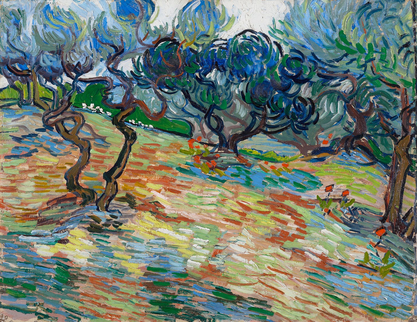 Olive Trees by Vincent Van Gogh, National Galleries of Scotland Olive Trees by Vincent Van Gogh, National Galleries of Scotland