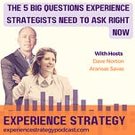 The Experience Strategist