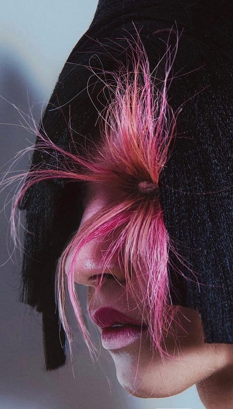 sophie hartnett works