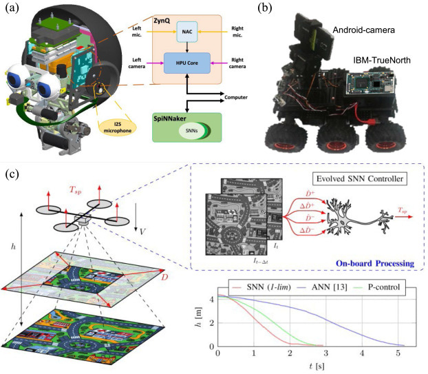 Neuromorphic electronics for robotic perception, navigation and control: A  survey - ScienceDirect