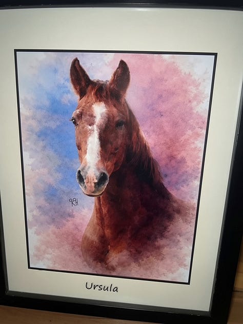 Paintings of horses by Krystal Hindman