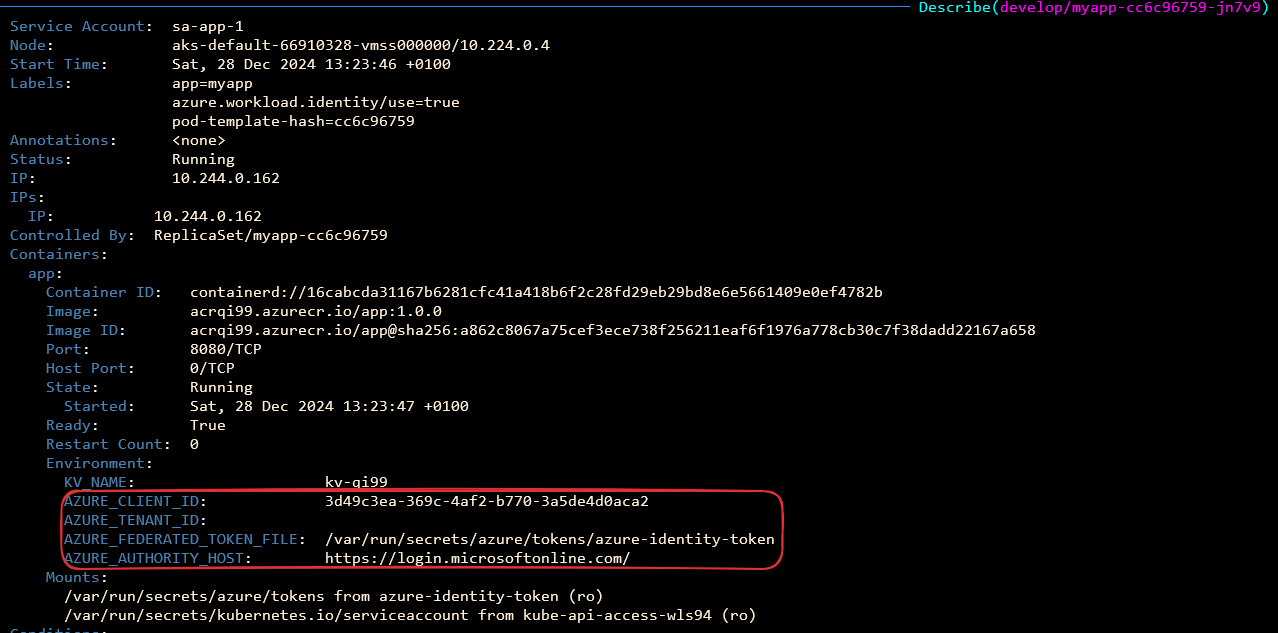 Resultado contenido secreto POD valores inyectados por <em>Azure AD Workload Identity</em>