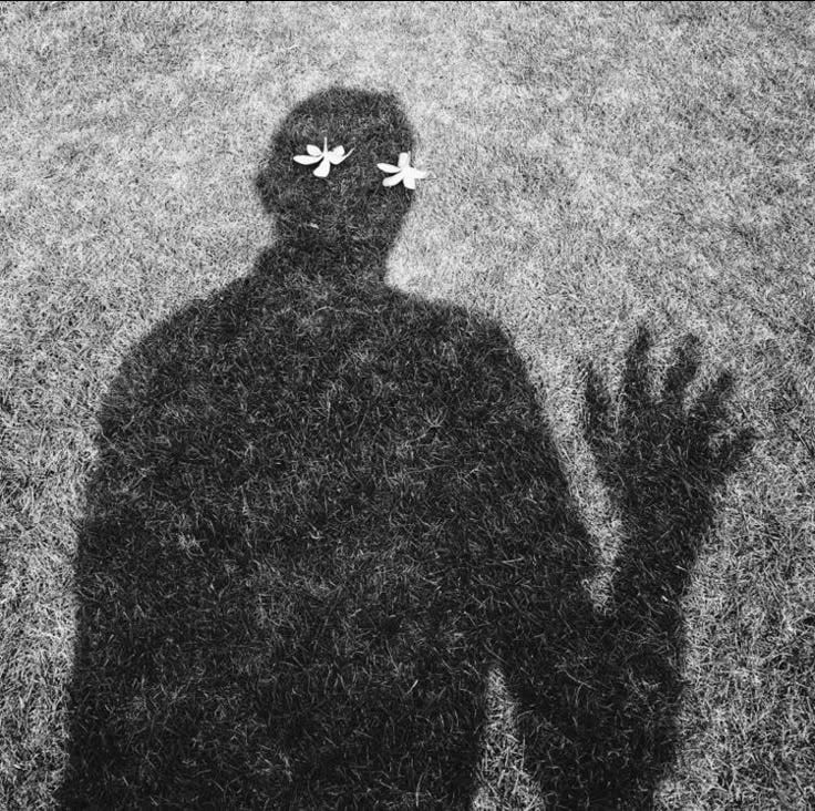 This may contain: the shadow of a person with two butterflies on their foreheads, standing in grass