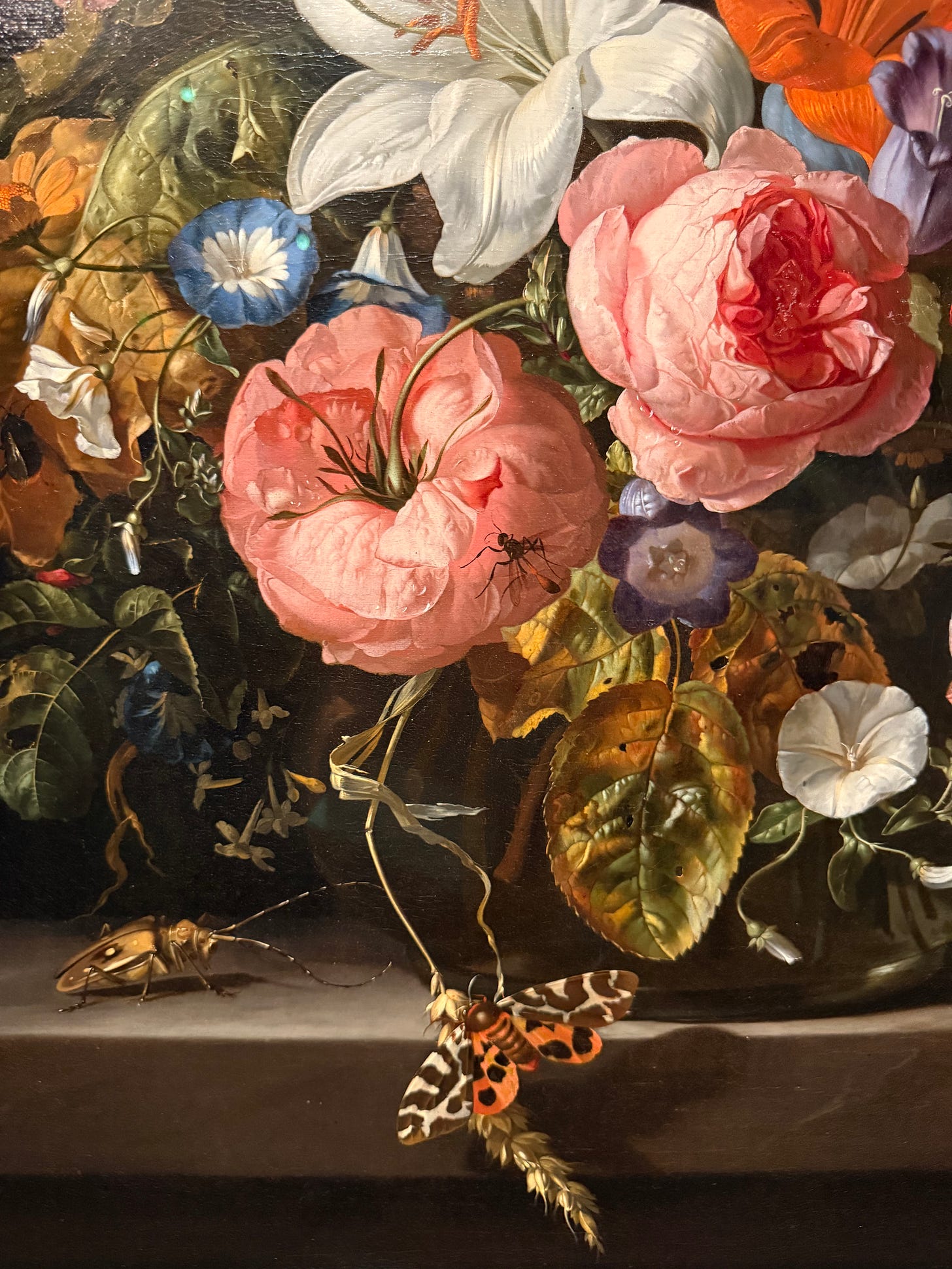 A photograph I took of Rachel Ruysch’s painting titled Flowers in a Glass Vase