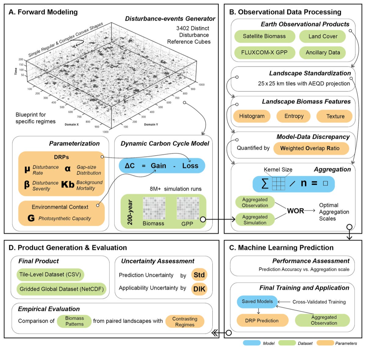 Forest disturbance regimes