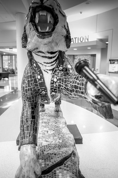 University of Memphis "tigers around town" with paint and image of school fight song