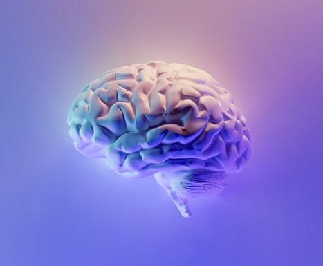 blue and green peacock feather