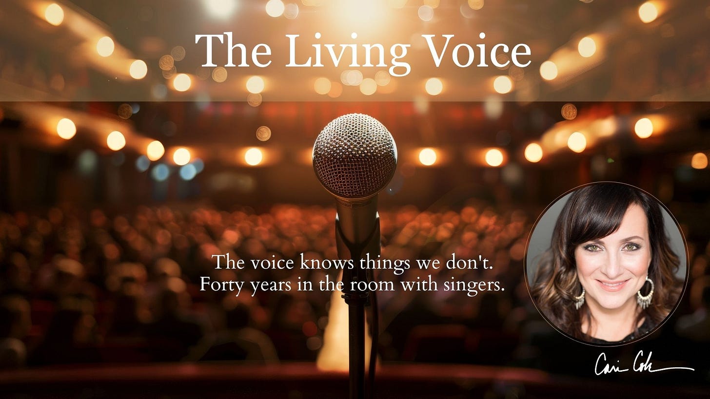 cari cole voice + music co