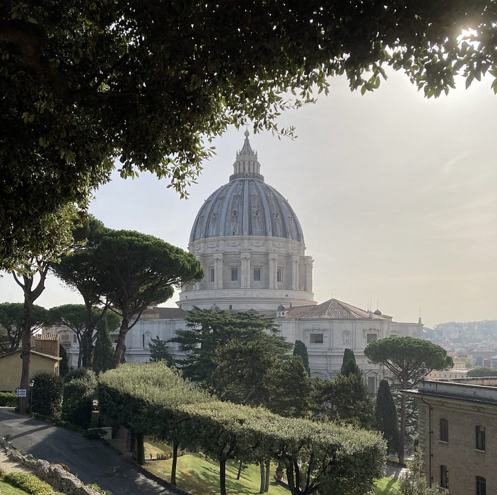 Left image is the bark of a tree as described in the text, right is the dome of St Peters with a pale browning sky (smog??) sunlight coming through the leaves of a tree above and trees in the foreground.