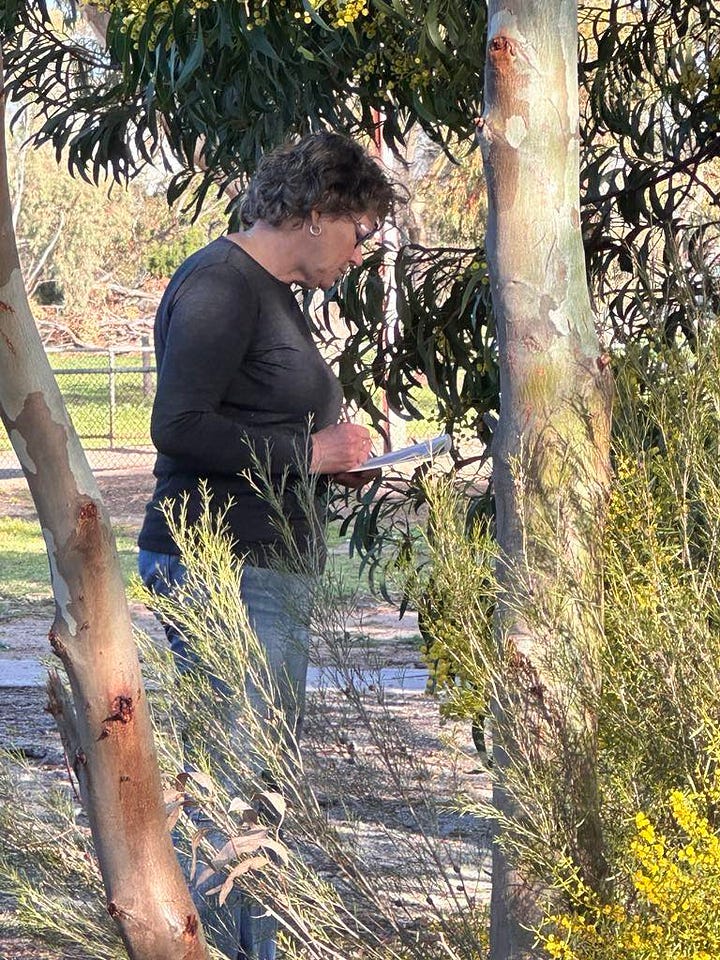 Nature Journaling in Cummins