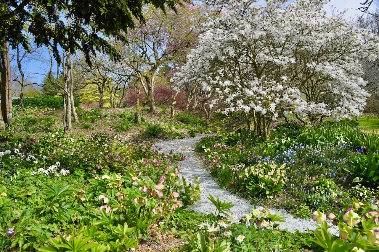 Paths at Wildside are sunken into curves around mounds that can be 3 to 10 feet higher, then topped with trees and planting of all sorts. 