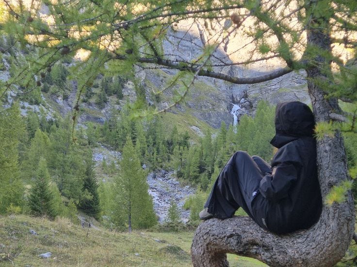 This may contain: a man sitting on top of a tree branch This may contain: a man sitting on top of a tree branch