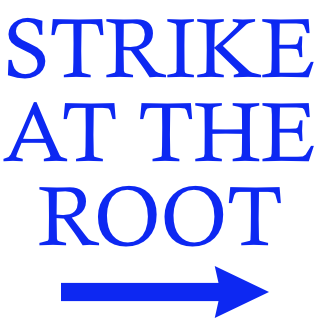 The Analytical Activist