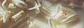 mi miel ~ Vibrational Beaute