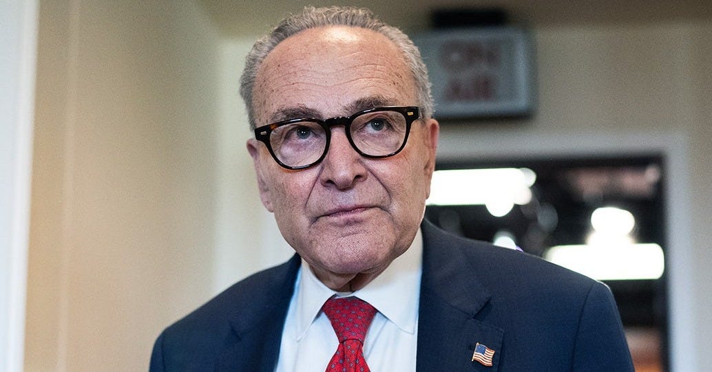 Democrats, left empty-handed in shutdown, turn fury on Schumer