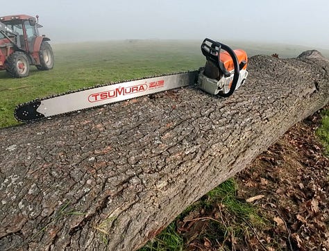 Biggest cross cut I've ever made. Cutting the log in half. I actually did measure twice and cut once here.