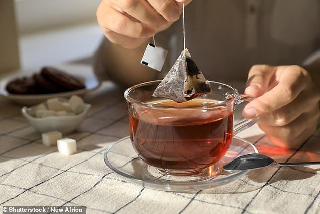 Nylon mesh tea bags release billions of micro- and nanoplastics into a single cup of tea