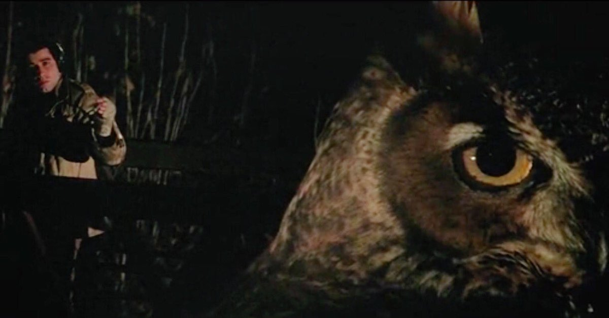 A24 on X: "Split diopter owl from Blow Out. #DePalma, man after our own  heart..❤️ https://t.co/XqyHPuItIc" / X