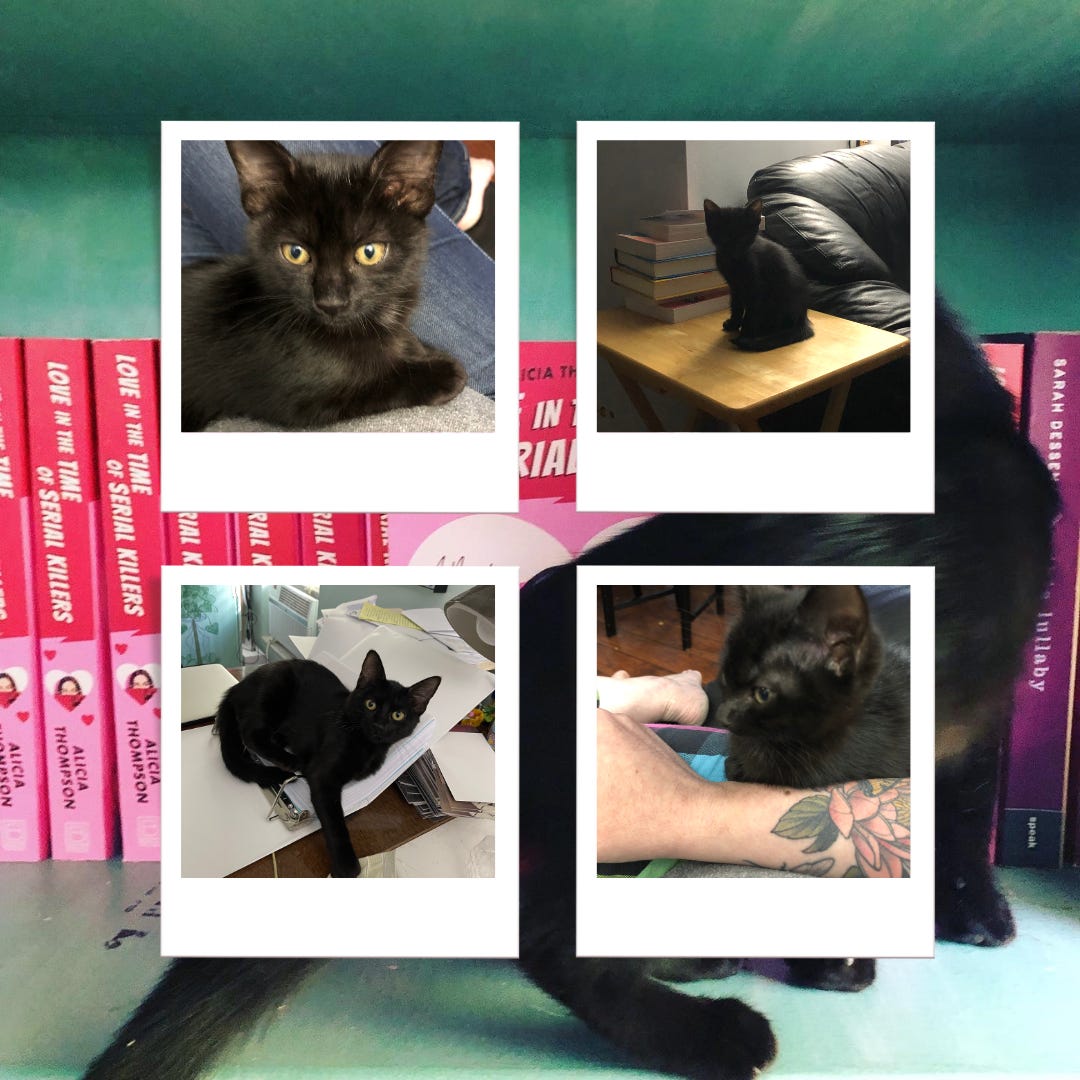 Collage of four polaroid style cat pictures, showing a black kitten with bright yellow eyes, and then a larger picture of that same cat in the background in front of a shelf filled with copies of LITTOSK.