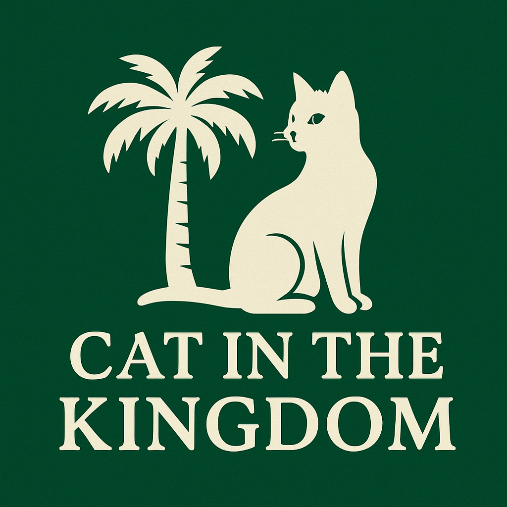 Cat in the Kingdom | An American in Saudi Arabia