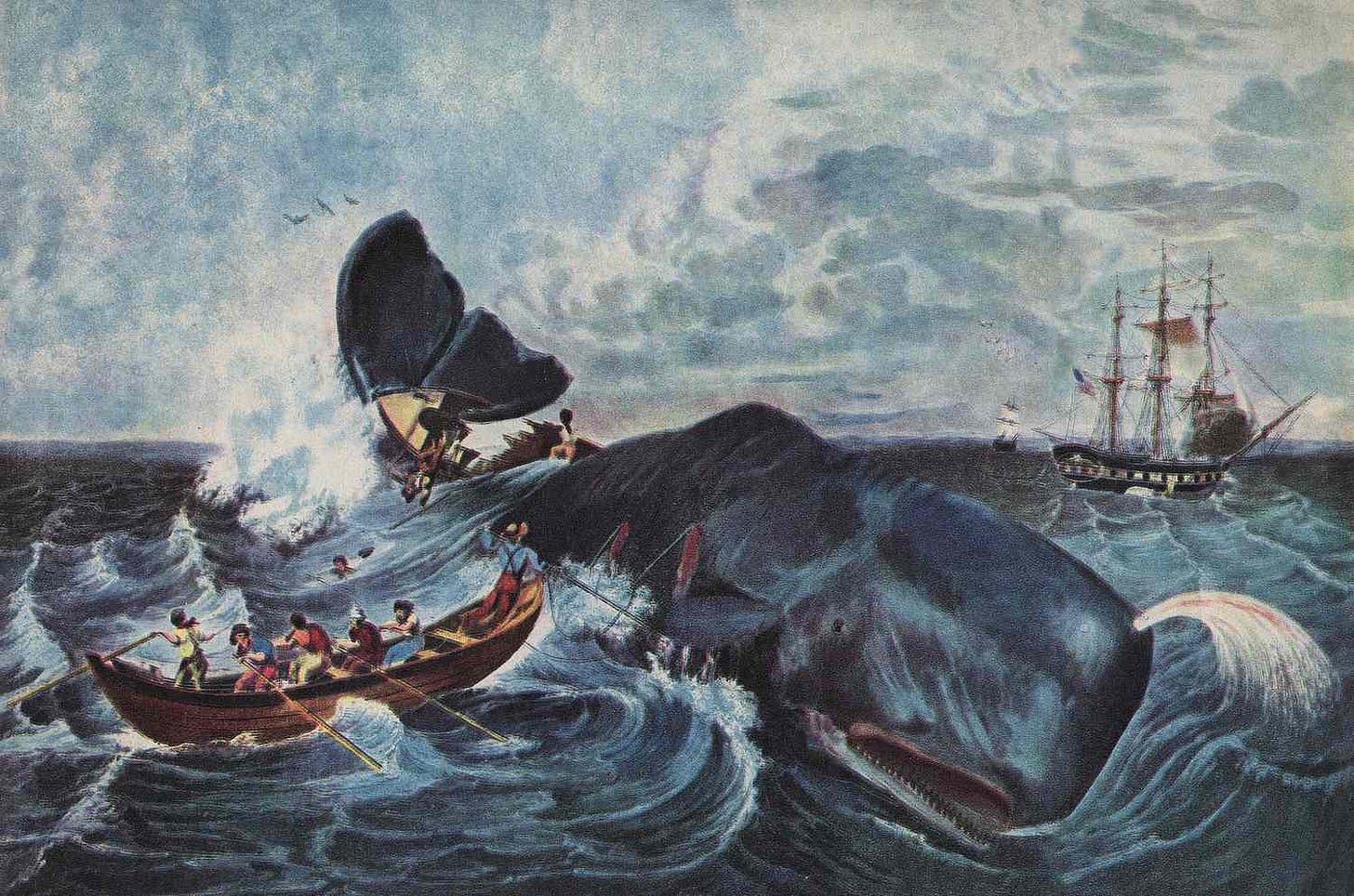 History of the 19th Century Whaling Industry