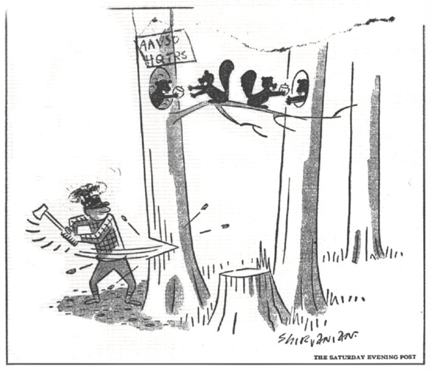 A comic found in the Dorrit Hoffleit Papers that was taped to the eviction notice from Menzel to AAVSO. If photographic plates are the raw record, AAVSO was the human infrastructure for noticing what didn’t belong in that record. A comic found in the Dorrit Hoffleit Papers that was taped to the eviction notice from Menzel to AAVSO. If photographic plates are the raw record, AAVSO was the human infrastructure for noticing what didn’t belong in that record.