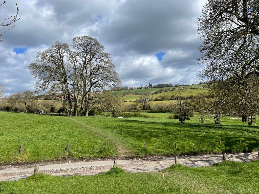 A spring surprise A spring surprise