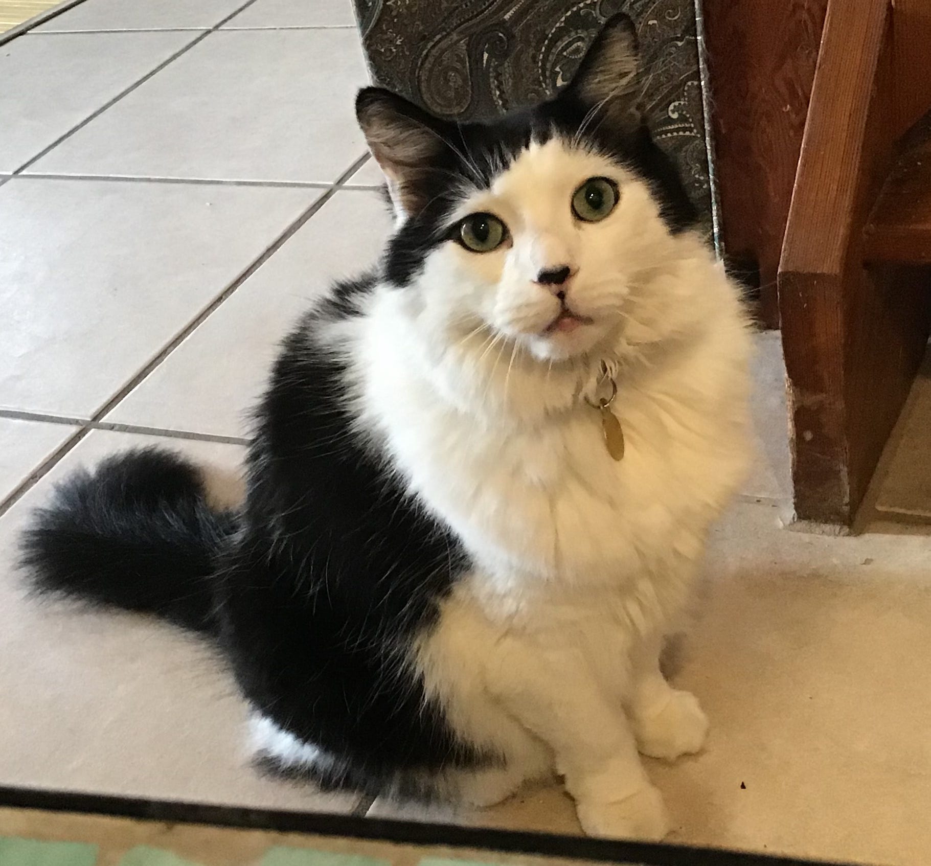 All the Other Writers, Artists, Composers