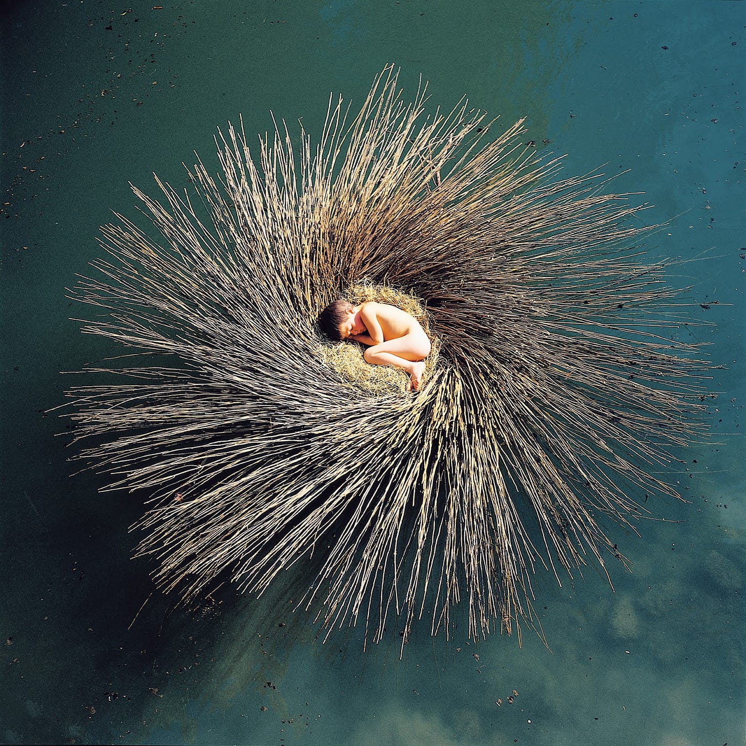 Cover of Peter Gabriel - Ovo CD