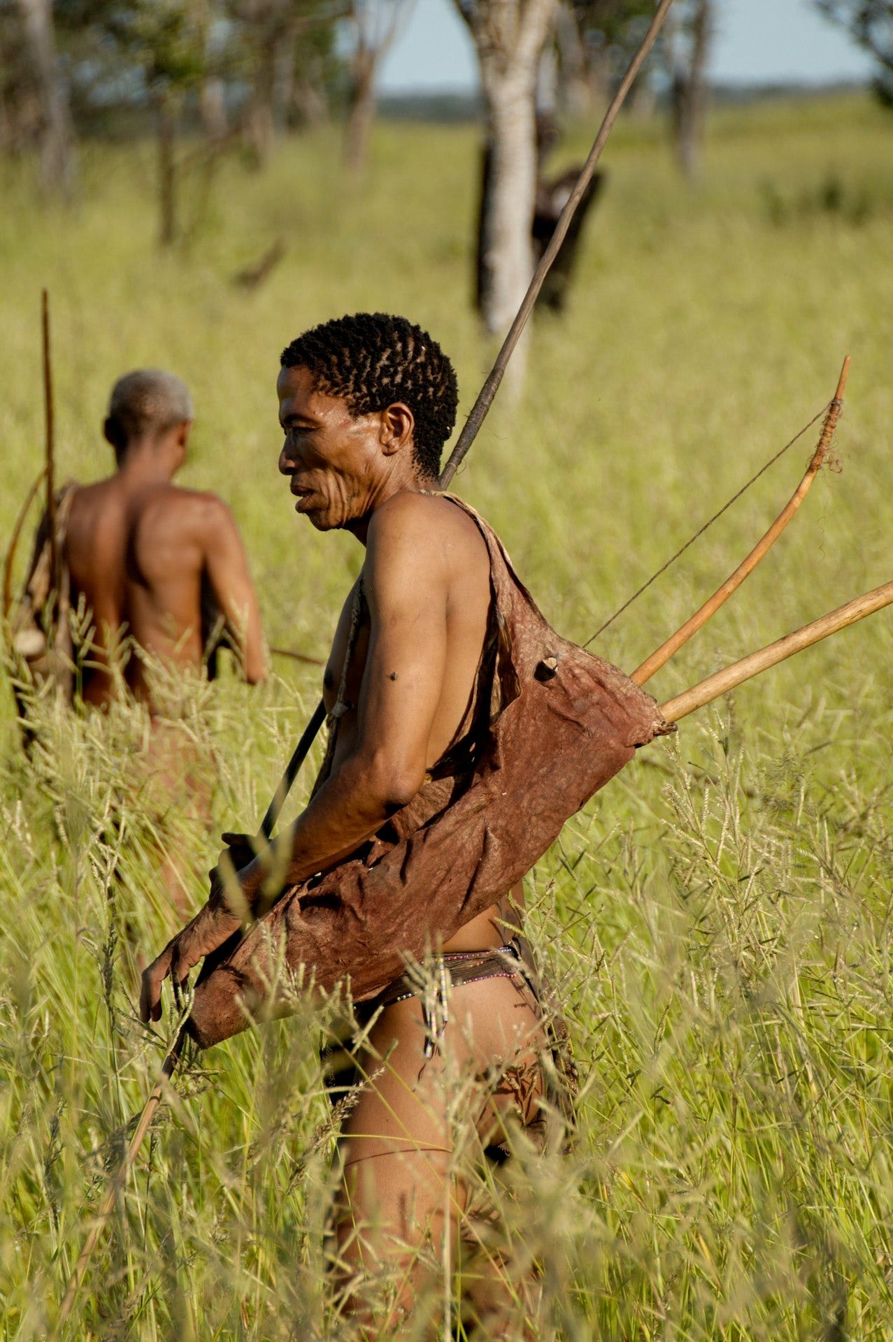 Hunter of the Ju/'hoansi tribe in the Namibian Bush. Photo Credit: Stephan C. Schuster, Penn State University Hunter of the Ju/'hoansi tribe in the Namibian Bush. Photo Credit: Stephan C. Schuster, Penn State University