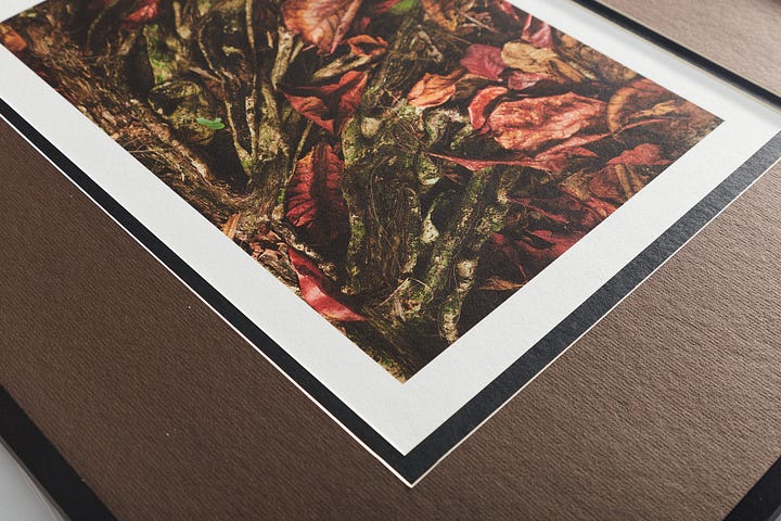 Awagami Kozo print mounted and framed
