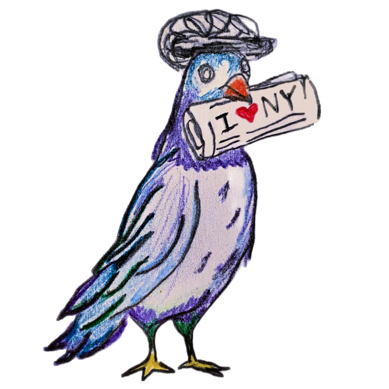 The Pigeon