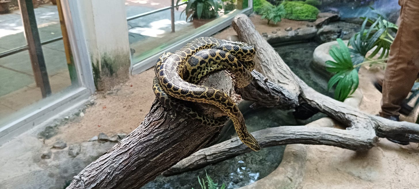 Visitor's Corner – Chennai Snake Park
