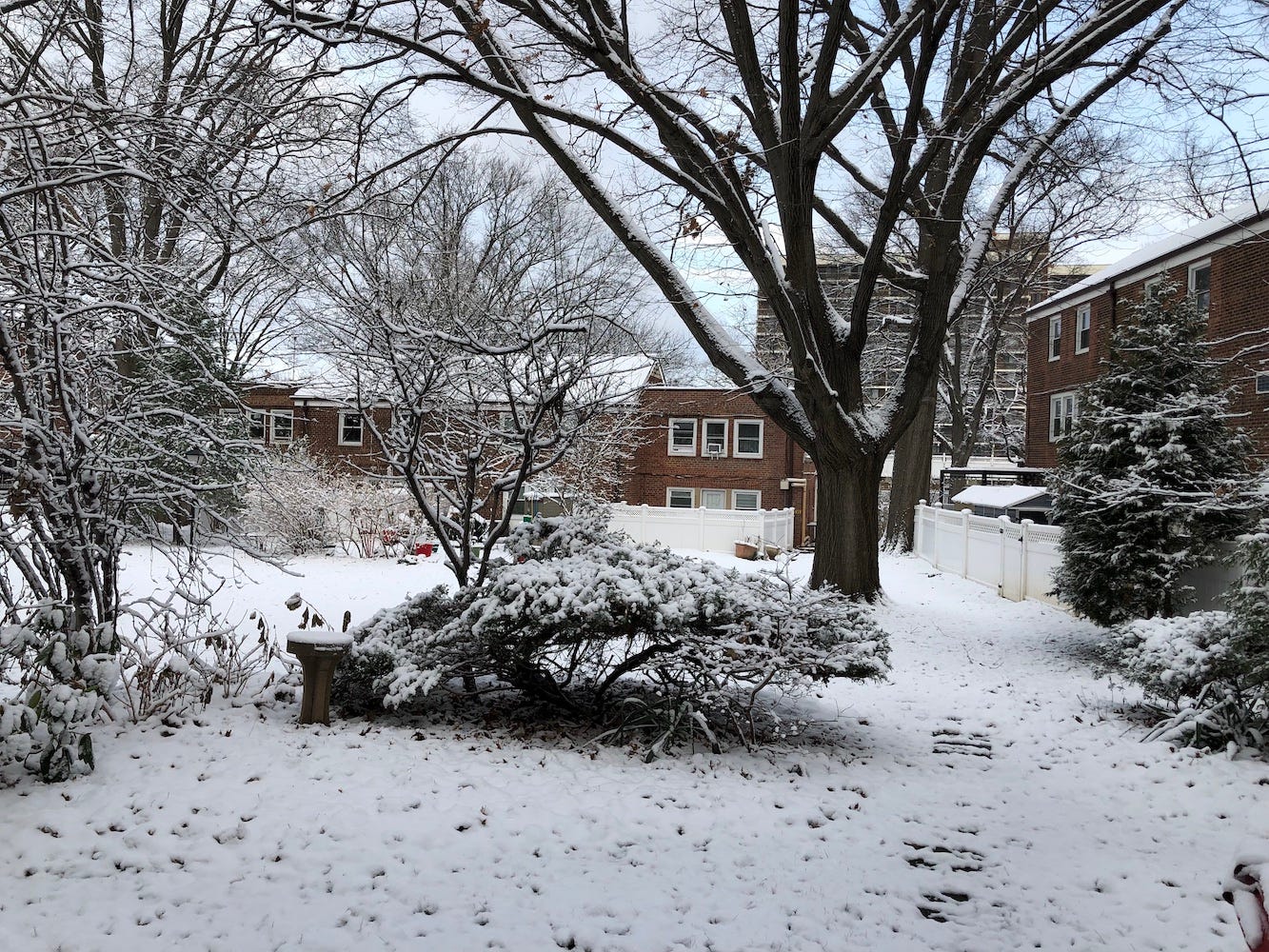 Backyard with snowfall.