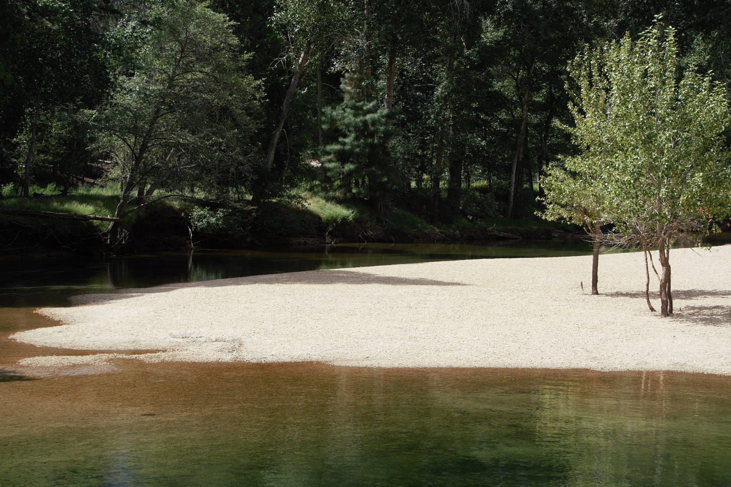Image is of a small island on a shallow river. Image is of a small island on a shallow river.
