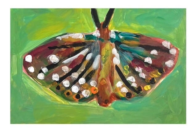 butterfly painting by amy mullen butterfly painting by amy mullen