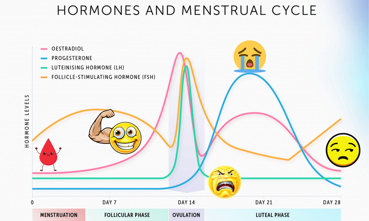 How Periods Effect Your Workouts, Mood and Diet. — Aaron Schiavone Personal  Trainer