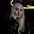 Emily Grace Buck's avatar