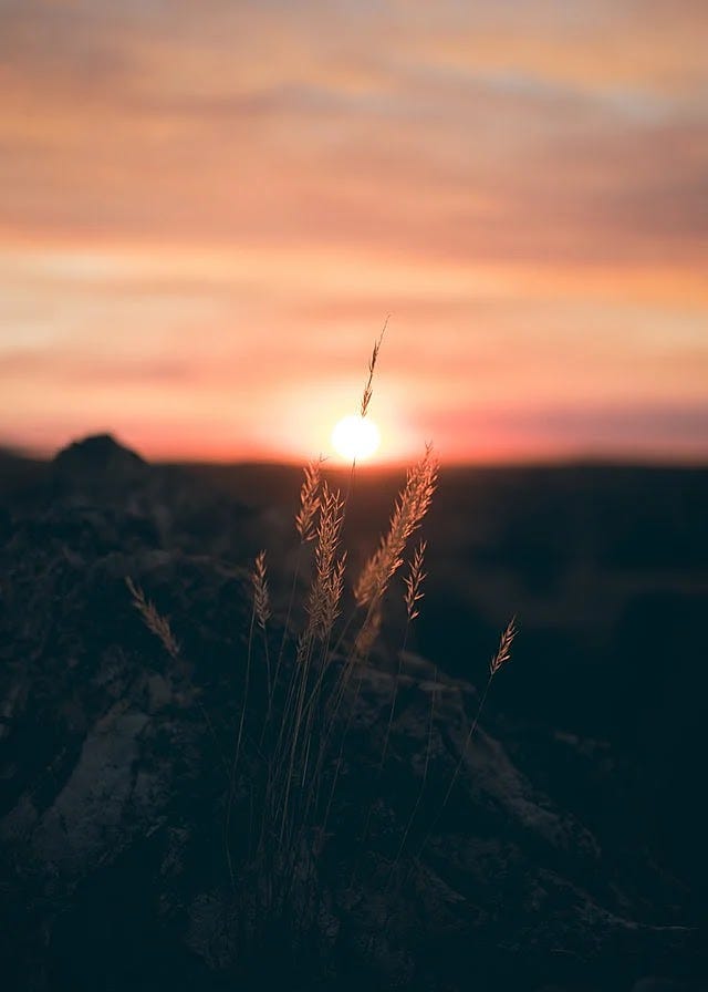 Sunrise