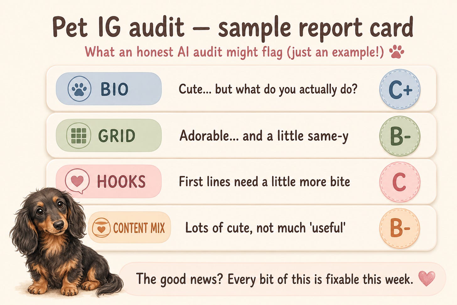 Sample pet Instagram audit report card grading bio, grid, hooks and content mix, all fixable in a week — a playful example, not a real grade