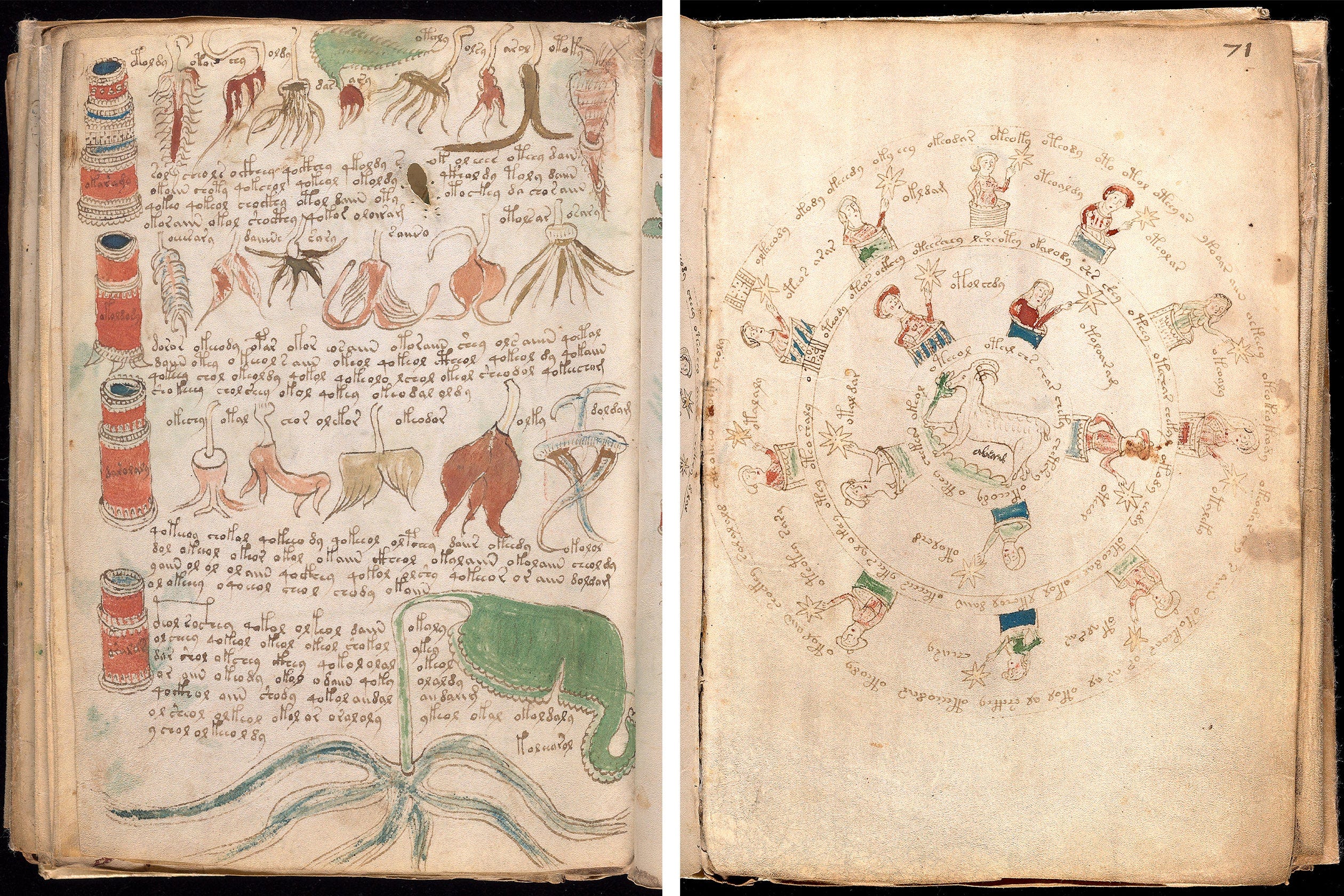 Meet the Voynich manuscript, the world's most mysterious book
