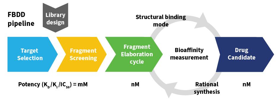 Fragment-based Drug Discovery | Jubilant Biosys