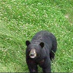 Timothy’s Substack