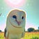 Owl Posting